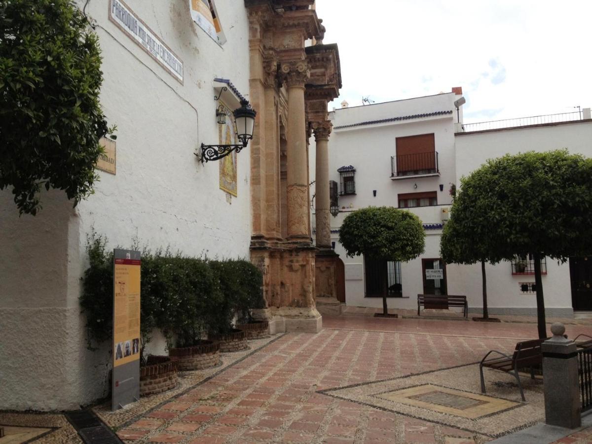 Alamo 6 Marbella Exterior foto